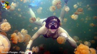 Palau jeudi 27 février 2014 12:23:04 
