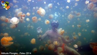 Palau jeudi 27 février 2014 12:26:48 
