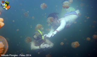 Palau jeudi 27 février 2014 12:17:59 
