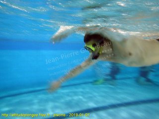 Piscine lundi 7 janvier 2019 20:38:27 