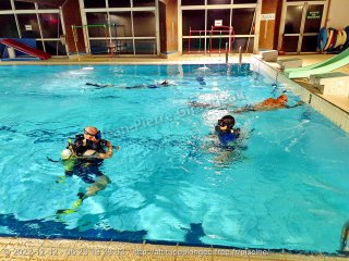 Piscine lundi 12 décembre 2022 20:24:51 