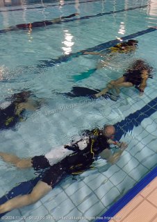 Piscine vendredi 29 novembre 2024 19:26:21 