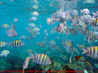 web-punta_cana-p4120022