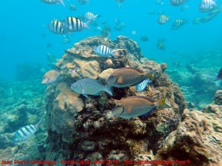 web-punta_cana-p4120027