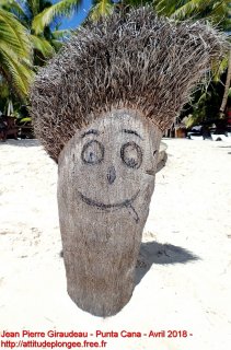 web-punta_cana-p4120225