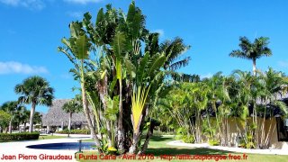web-punta_cana-20180415_155938