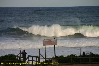 Durban