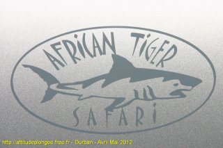 web-durban-2012-img_4606