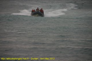Durban