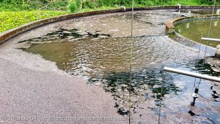 web-20190604_124650