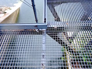 web-p8190006