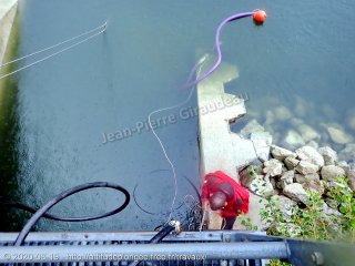 web-p8190010