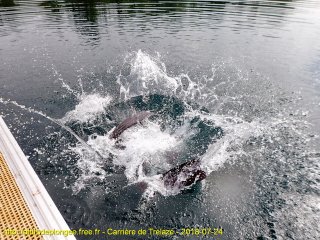 Trélazé mardi 24 juillet 2018 10:18:11 