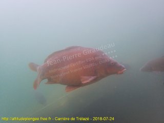 Trélazé mardi 24 juillet 2018 10:20:41 