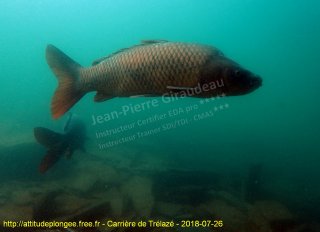 Trélazé jeudi 26 juillet 2018 14:42:21 