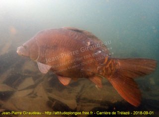 Trélazé samedi 1 septembre 2018 14:27:31 