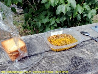 Trélazé dimanche 8 septembre 2019 12:18:45 