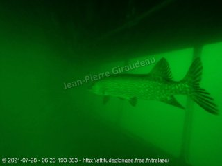 web-p7280059