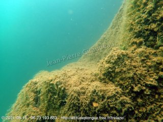 web-p8160050