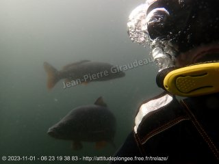 Trélazé mercredi 1 novembre 2023 13:26:40 