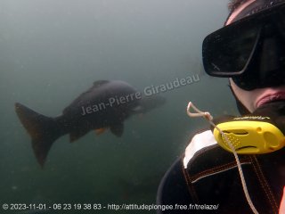 web-pb010028