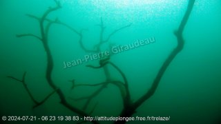 Trélazé dimanche 21 juillet 2024 14:04:52 