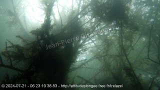 Trélazé dimanche 21 juillet 2024 14:36:10 
