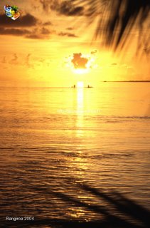 web-rangiroa-2004-ext-0006