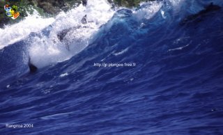 web-rangiroa-2004-ext-0039